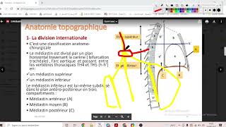 UE1 Anatomie CardioVasculaire 2 بالعربية  Le Médiastin [upl. by Cirtap]