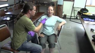 Auscultation of Breath Sounds [upl. by Elissa]