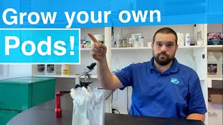 Grow Copepods the easy way  how and why to culture copepods [upl. by Og]