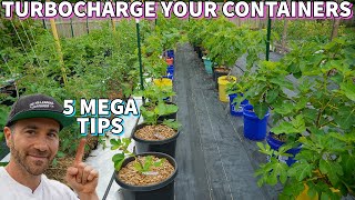 Do This NOW To Turbocharge Your Container Garden [upl. by Hadik]