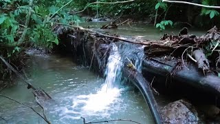 Calming River Sounds for Sleep  ASMR Water Ambience for Restful Night [upl. by Anevad89]