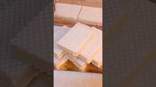 How to make wafer at homemaking homemade wafer [upl. by Inva747]