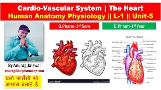 Cardio Vascular System  L1 Unit 5  HAP [upl. by Nosmoht]