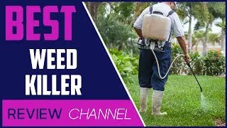 ✅ Best weed killers for lawns 2024 [upl. by Delp211]