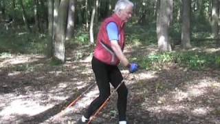 Nordic Walking Technik Anleitung Speed Power [upl. by Lucine]