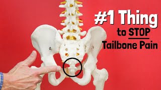 1 Thing to STOP Tailbone or Sit Bone Pain  Giveaway [upl. by Rdnaskela534]