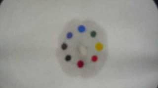 Chromatography Permanent Marker in Water [upl. by Ludlew]