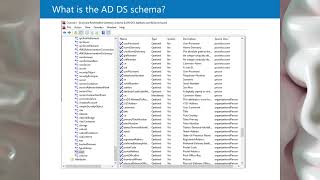 What is the AD DS schema [upl. by Netsriik558]