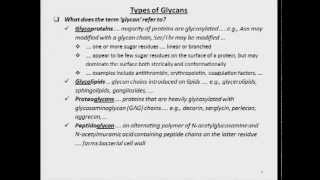 Role of Glycans in Physiology and Disease [upl. by Johm]