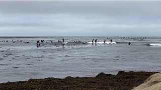 71424 Surf Santa Cruz Pleasure Point Surfers lined up catching waves at Jack’s [upl. by Cotterell]