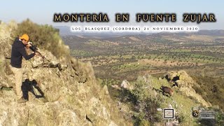 quotMONTERÍA EN FUENTE ZUJAR CON CINEGETICA LA TRAPERAquot Los Blázquez 21 de Noviembre del 2020 [upl. by Tess]