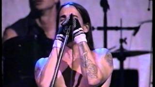 Red Hot Chili Peppers Madison Square Garden NYC 1996 [upl. by Mosra]