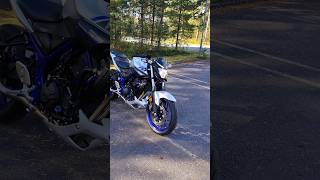 Yamaha MT03 🔥 sound like 😈shorts [upl. by Eanal]