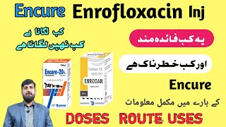 Encure Enrofloxacin Inj  Enrofloxacin Uses In Cattle Buffalo  Antibiotic Use In Animals  Disease [upl. by Lait]