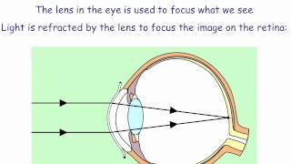 GCSE Physics Revision Mirrors and Lenses [upl. by Anialed]