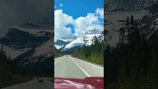 Scenic Drive  Icefields Parkway shorts canada mountains alberta [upl. by Aitekram361]