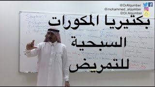 بكتيريا المكورات السبحية للتمريض  Streptococci [upl. by Atled796]