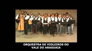 DVD  Orquestra de Violeiros do Vale do Araguaia [upl. by Hoseia]