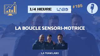 14h LabO 185  La boucle sensorimotrice ou perceptionaction [upl. by Yank]