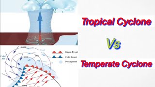 Difference between Tropical Cyclone and Temperate Cyclone  Tropical Cyclone Vs Temperate Cyclone [upl. by Slerahc]