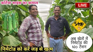 How to control Nematode in Polyhouse farming  Corteva  नेमाटोड से फसल को कैसे बचाएँ [upl. by Jaquelin]