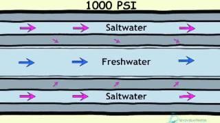 How Desalination Works [upl. by Winifield]