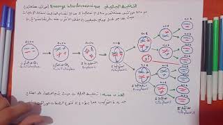 الحصة 5 التخليط البيصبغي Brassage interchromosomique [upl. by Ymeon]