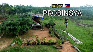 Simple but nutritious boodle fight in province Life in the Mountain Biag ti Away by balong [upl. by Ednalrim]