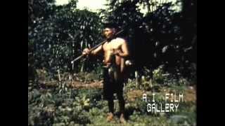 The Head Hunters of Ecuador TV series Bold Journey 1957 [upl. by Oiretule518]