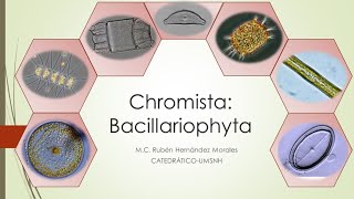 Introducción al estudio de las Diatomeas Bacillariophyta [upl. by Ralf28]