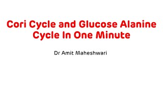 Cori Cycle And Glucose Alanine Cycle In One Minute  Biochemistry Rapid Revision Series [upl. by Britt]