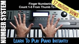 Learn To Play Piano Instantly 1 Beginning Training Pro Shortcuts [upl. by Meerak485]