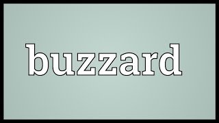 Buzzard Meaning [upl. by Wardieu]