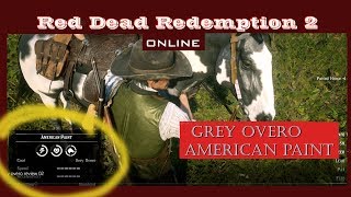 Red Dead Redemption 2 ONLINEGrey Overo Horse Review [upl. by Chiles821]