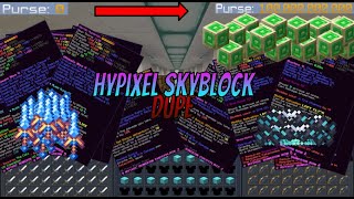 Hypixel Skyblock Dupe  ANY ITEM [upl. by Darrick460]