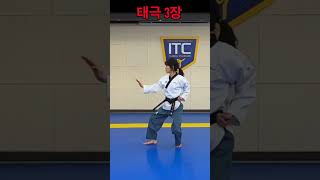 Taegeuk3  Taegeuk Sam Jang  Poomsae  Taekwondo shorts [upl. by Hebel]