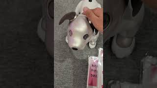 Robot dog aibo developed by Sony [upl. by Nema]