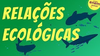 RELAÇÕES ECOLÓGICAS  Resumo de Biologia para o Enem [upl. by Anemix]