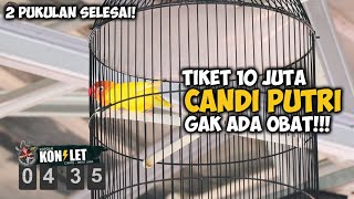 KELAS SULTAN Tiket 10 Juta Lovebird CANDI PUTRI GAK ADA OBAT DI KOPDAR KONSLET CIAMIS [upl. by Noskcaj]