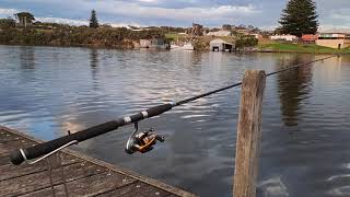 Glenelg River Estuary Fishing 🎣 At Nelson [upl. by Frantz]