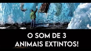 3 SONS DE ANIMAIS EXTINTOS  shorts [upl. by Annam]