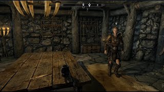 Skyrim SE 554 Lets Play Deutsch Diplomatische Immunität Treffe Delphine in Flusswald Schmieden [upl. by Launcelot699]