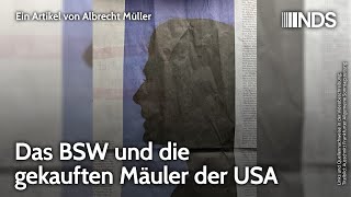 Das BSW und die gekauften Mäuler der USA  Albrecht Müller  NDSPodcast [upl. by Keifer]