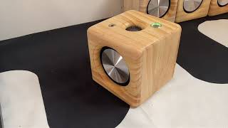 DIY portable speaker 20W 275quot fullrange speaker4quot radiator [upl. by Guzel]