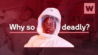 Why is TB still the deadliest infectious disease  Wellcome [upl. by Atiral]