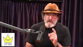 Paul Stamets telling Joe Rogan about the incredible benefits of Lions Mane mushrooms [upl. by Booth113]