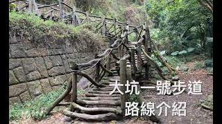 登山｜大坑一號登山步道路線介紹 登山 步道｜跑步村長 [upl. by Jobyna]