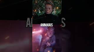 Minerva McGonagall vs Albus Dumbledore harrypotter edit capcut shorts [upl. by Wesley17]