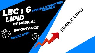 Biochemistry  1st year  6 simple lipids [upl. by Gaynor]