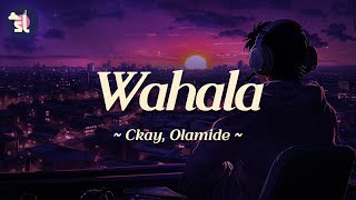 Ckay feat Olamide  Wahala [upl. by Cassilda]